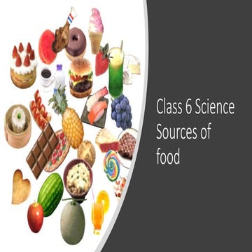 Class 6 Science  Sources of food.pptx