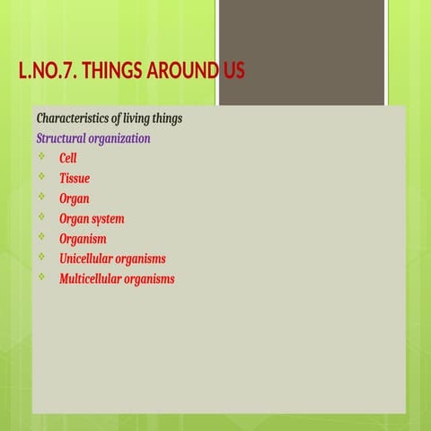 CHAPTER 7  THINGS AROUND US Class 6.pptx