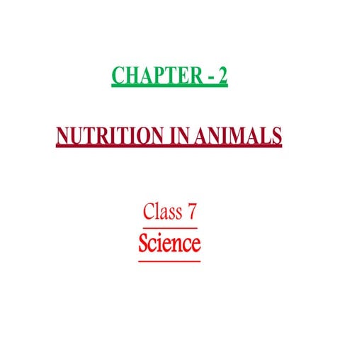 Nutrition in Animals, Class 7, Science Chapter-2