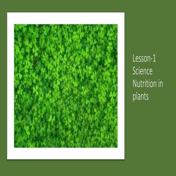 class 7 science nutrition in plants.pptx