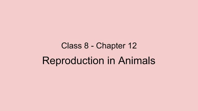 reproduction in animals class 8 | PPTX