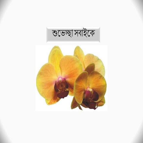 Class 9 & 10 accounting chapter 11_class_10