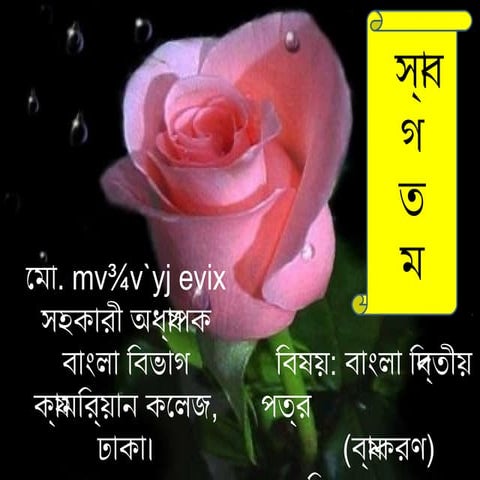 CLASS 9 BANGLA 2ND PAPER CHAPTER 10 visual data 2