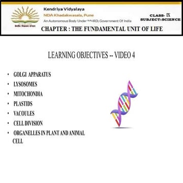 Class 9 cell ppt 4