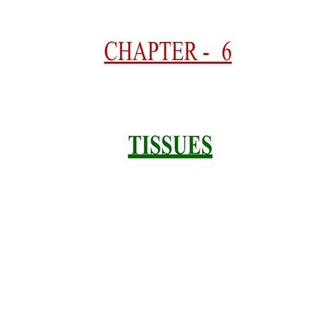 class9tissuechapter6-190807164017.pptx
