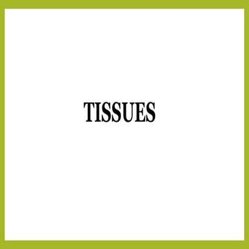 Class 9 tissues