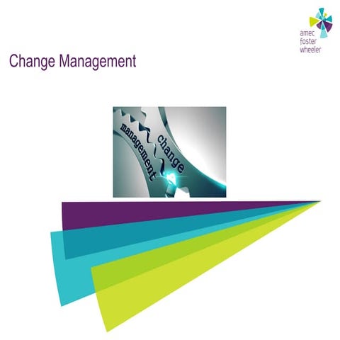 Project Management Change Management.ppt