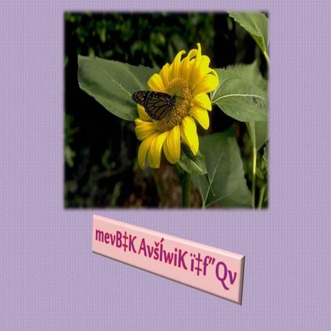 Class eight বিশেষ্য পদ