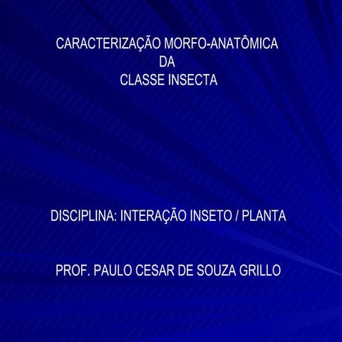 Classe insecta | PPT