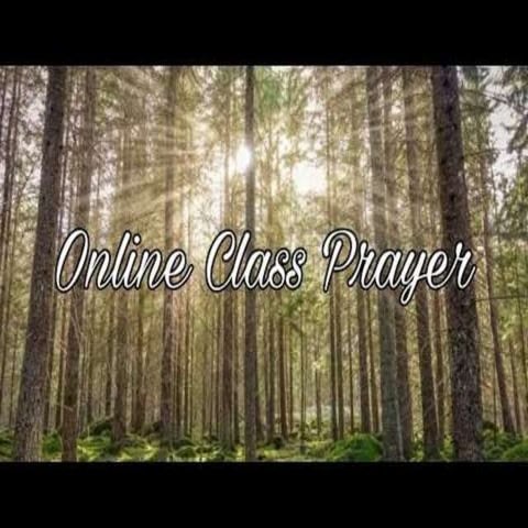 classes of organic compounds.pptx