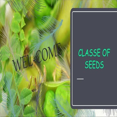 Classes of seeds
