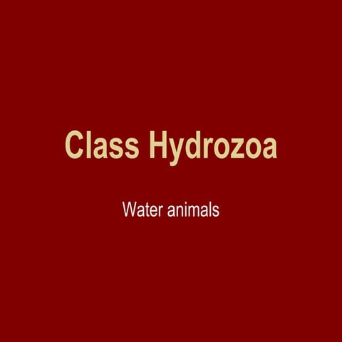 Class hydrozoa and anthozoa