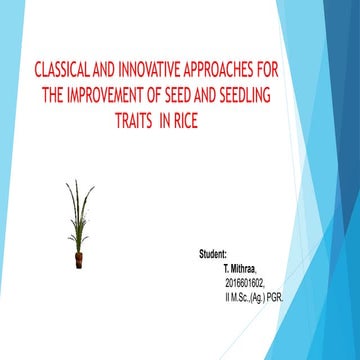 Classical and innovative approaches for the improvement of