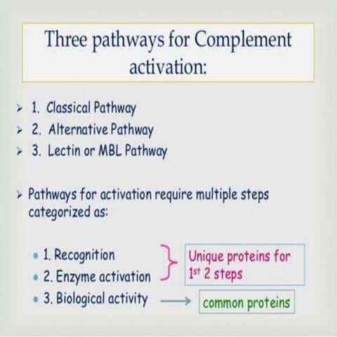 Classical pathway of complement | PPTX | Blood Disorders | Diseases and ...