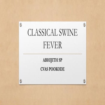 Classical swine fever
