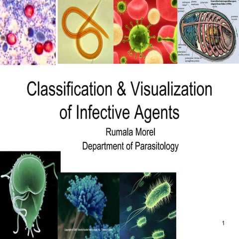 Classifiaction & visualization of infective agents