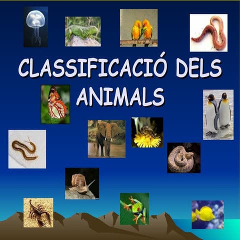 Classificació dels animals