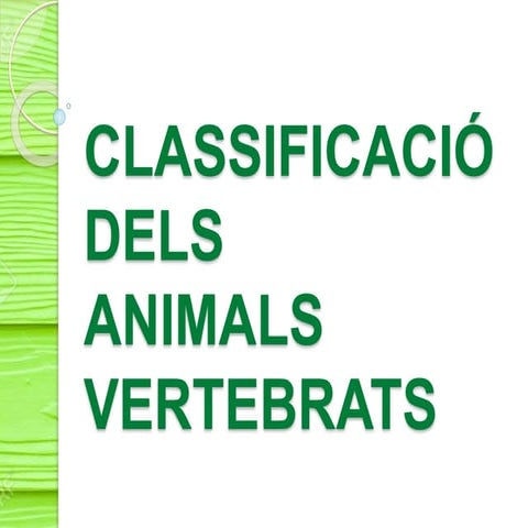 Classificació dels animals vertebrats