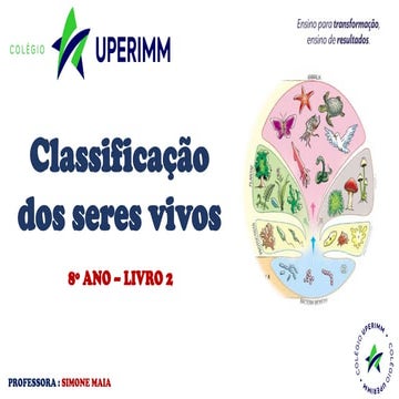 CLASSIFICAÇÃO  8 ANO.23.pdf