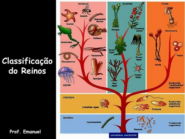 Classificacao Dos Cinco Reinos Ppt