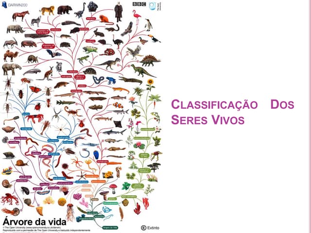 Classificação dos seres vivos | PPTX