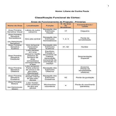 Classificação funcional do córtex