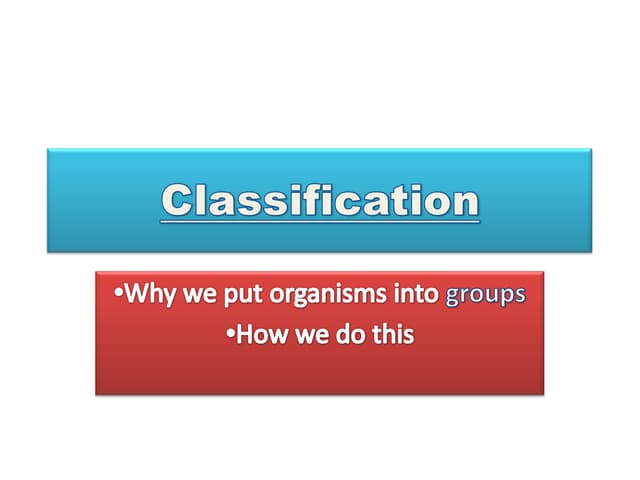 Classification