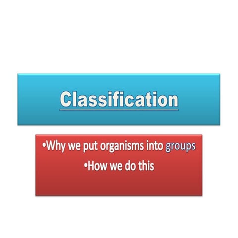 Classification