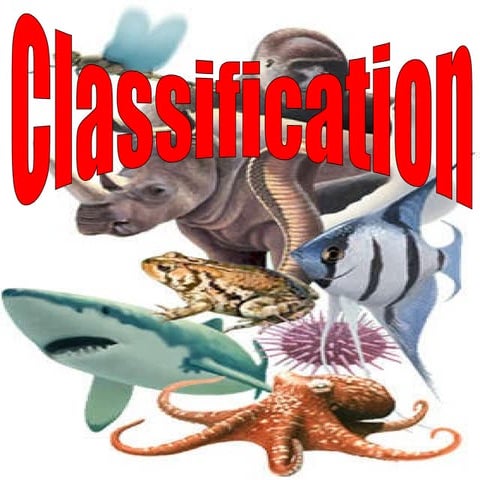 Classification