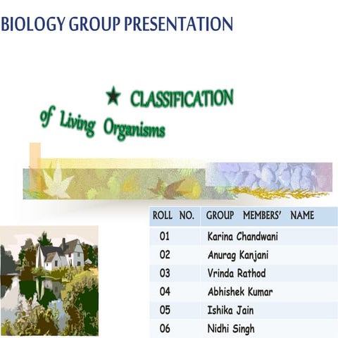Classification of organisms