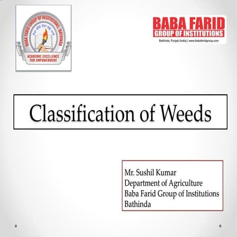Classification of Weeds