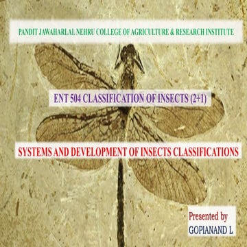 Development of Insects classification