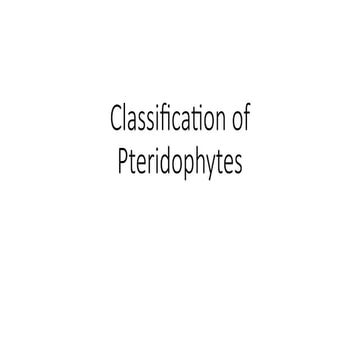 Classification of Pteridophytes _systems