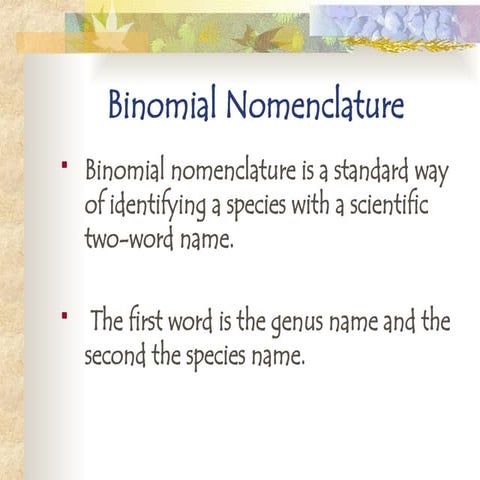 classification.ppt........................