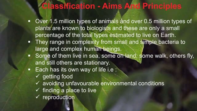 Classification Aims And Principles Pptx Classification Aims And Principles Pptx