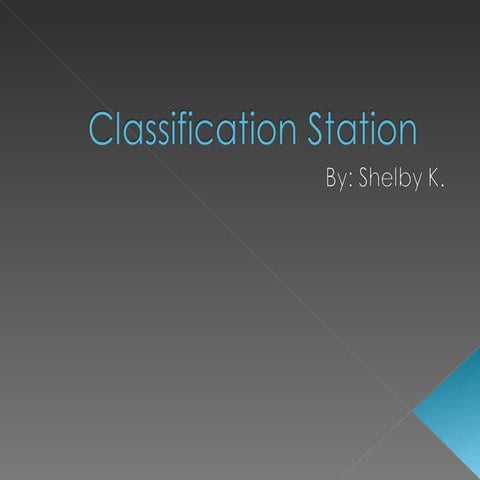 Classification System Project | PPT