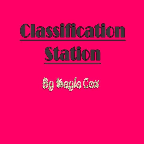 Classification Station