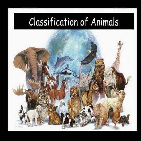 Mammals,fish,reptiles,birds,amphibians | PPT