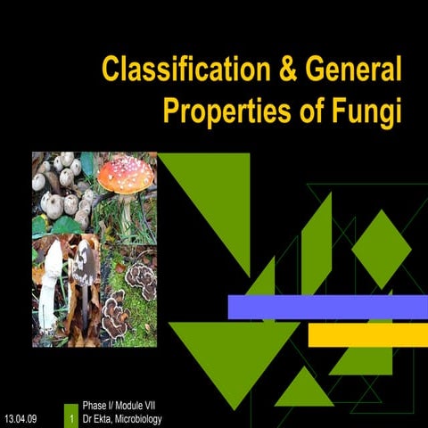 Classification & General Properties of Fungi.ppt