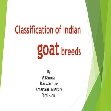 Classification indian goat_breeds