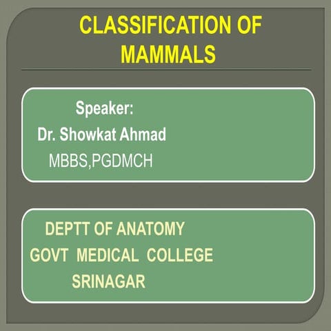 CLASSIFICATION OF MAMMALS