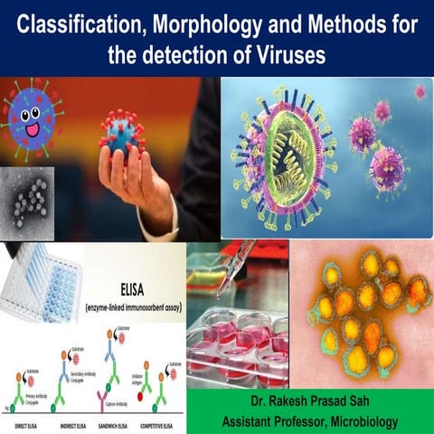 Introduction, Classification, Morphology and Methods for the detection of Vir...