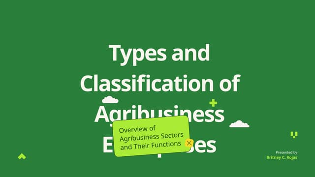classification of agribusiness enterprises.pptx