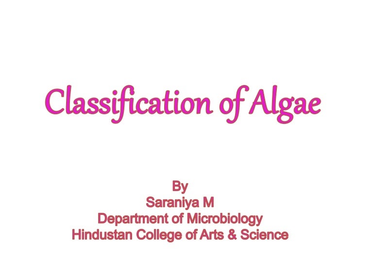 Classification Of Algae