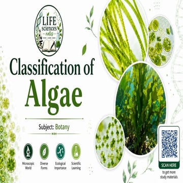 Classification of algae- For Botany students. | PPTX