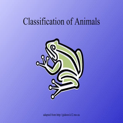 Classification of animals