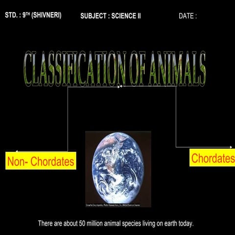 Classification of animals