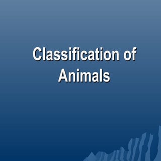 Classification of animals
