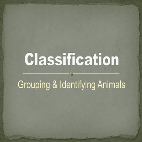 Classification of animals