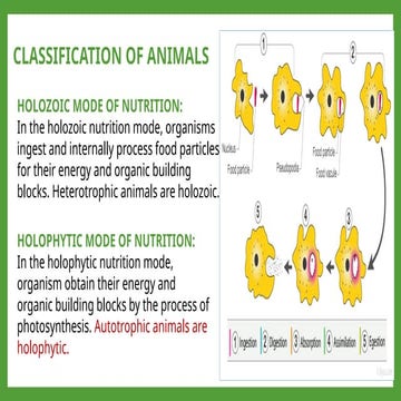 CLASSIFICATION OF ANIMALS . invertebrates and vertebrates. suitable for grade...